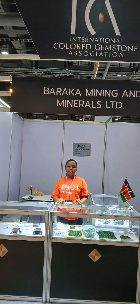 Exhibition Booth Setup